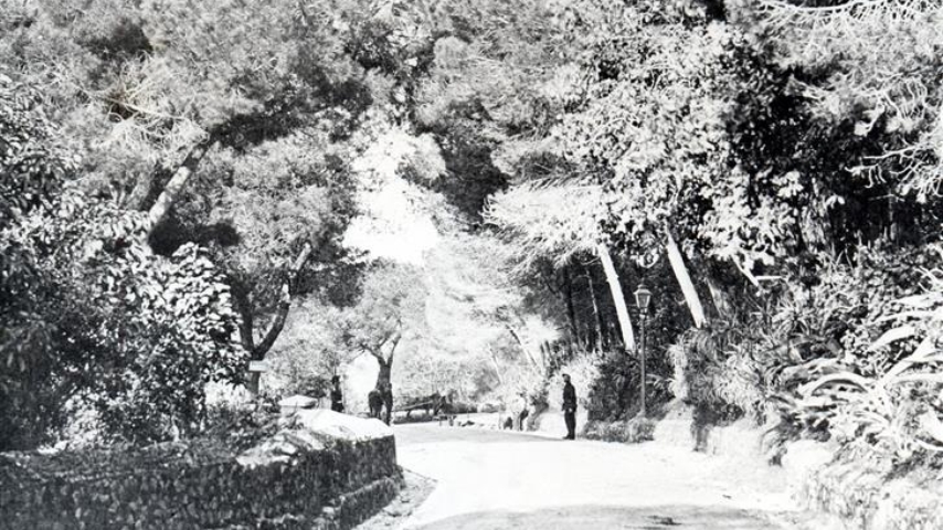 Europa Main Road Looking North